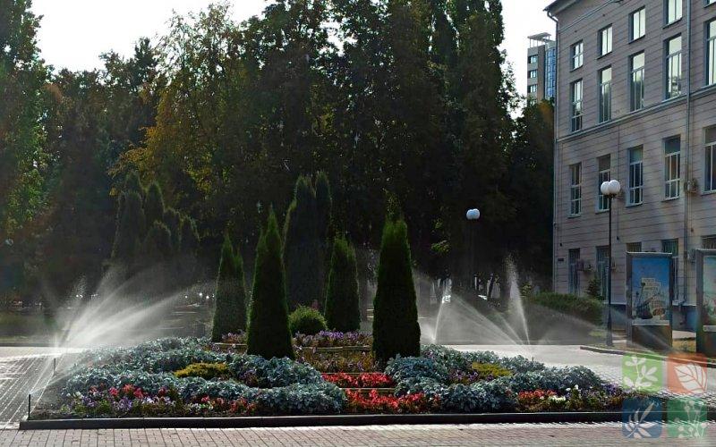 Воронеж (14)_фб.jpg