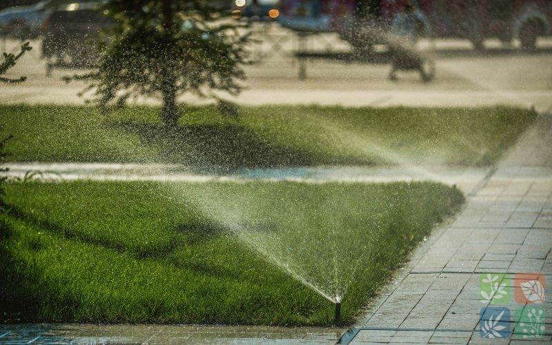 Вечный огонь.jpg