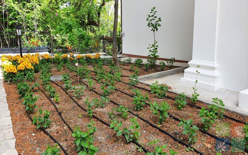 Морской прибой (12).jpg