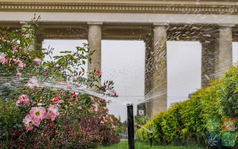 Парк Горького полив2.jpg