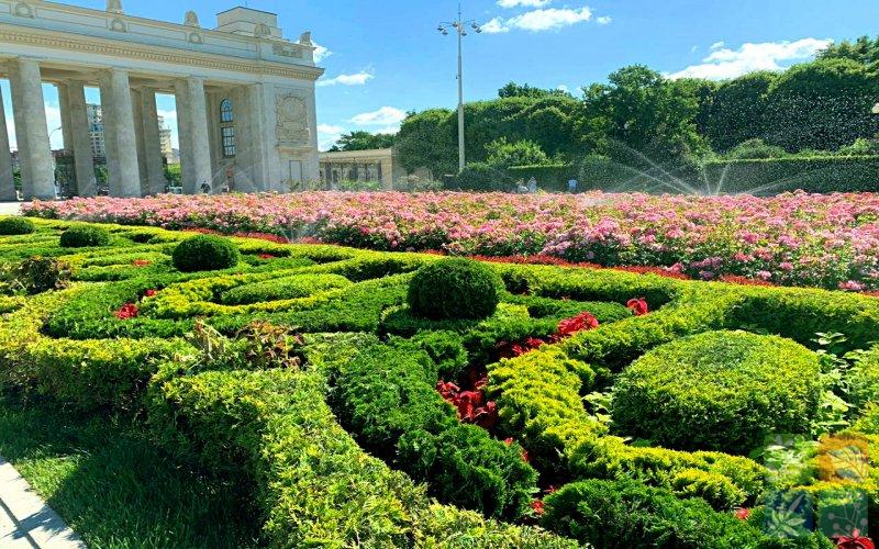 Парк Горького (9)_обработано.jpg