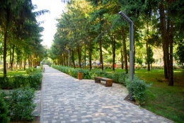 Монтаж автополива в городском саду «Сосновый»