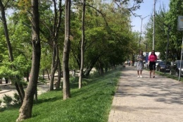 Система умного полива в ЖК DOGMA PARK
