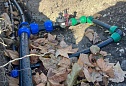 Система автоматического полива на Кубанской набережной