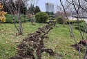 Система автоматического полива на Кубанской набережной