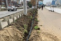 Система автоматического полива на Кубанской набережной